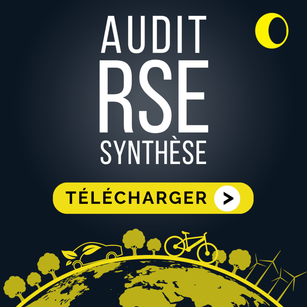 Synthèse Audit RSE Distri Cash